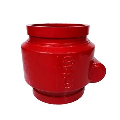 Grooved End Check Valve