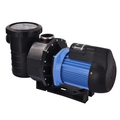 Swimming Pool Circulation Pump